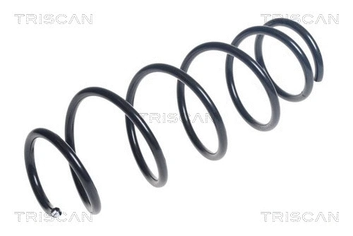 Suspension Spring (8750 1048)