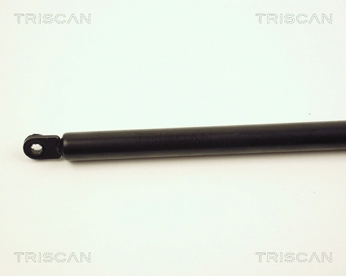 Gas Spring, boot/cargo area