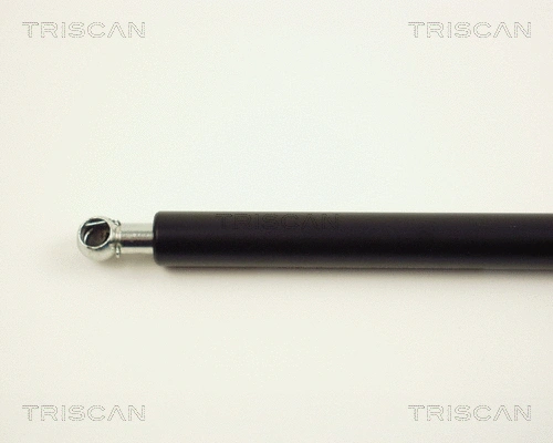Gas Spring, boot/cargo area