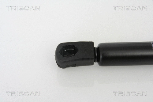 Gas Spring, bonnet