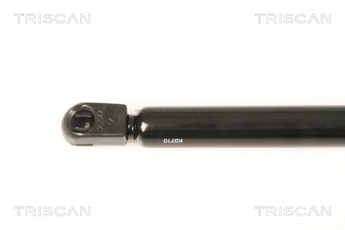 Gas Spring, boot/cargo area