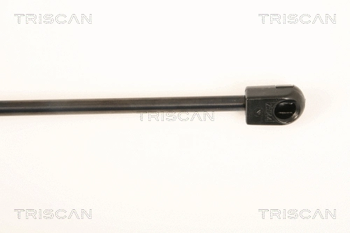 Gas Spring, boot/cargo area