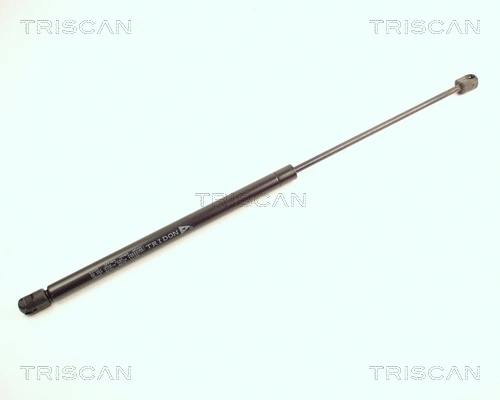 Gas Spring, boot/cargo area (8710 16224)