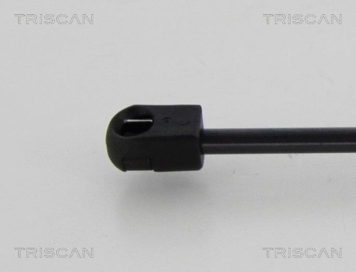 Gas Spring, boot/cargo area (8710 80215)