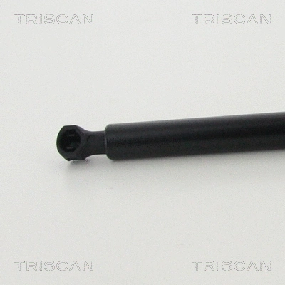 Gas Spring, boot/cargo area