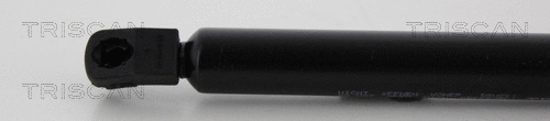 Gas Spring, boot/cargo area