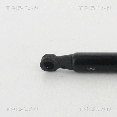 Gas Spring, boot/cargo area
