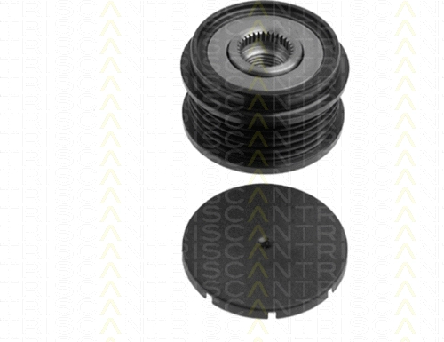 Alternator Freewheel Clutch (8641 104001)
