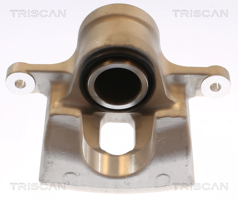 Brake Caliper (8175 69102)