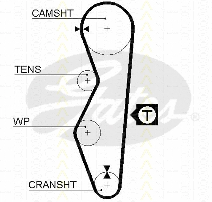 Timing Belt (8645 5521)