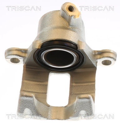 Brake Caliper (8175 13225)