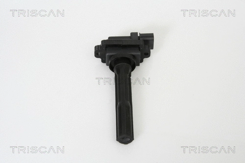 Ignition Coil (8860 69006)