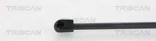Gas Spring, boot/cargo area