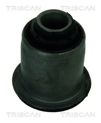 Mounting, control/trailing arm (8500 25812)