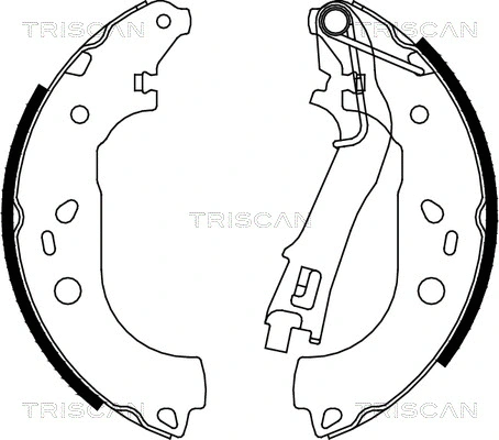 Brake Shoe Set (8100 10028)