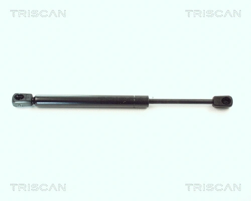 Gas Spring, boot/cargo area (8710 11201)