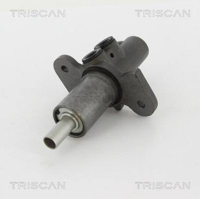 Brake Master Cylinder (8130 11137)