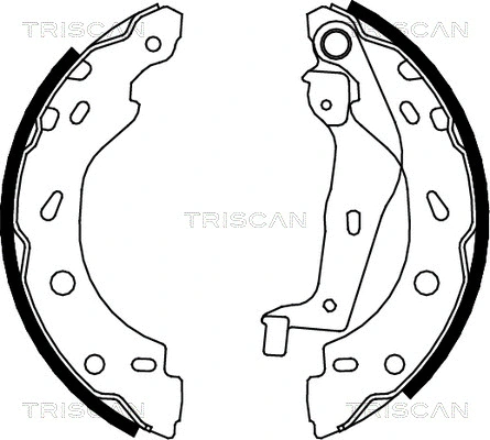 Brake Shoe Set (8100 10005)