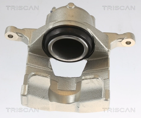 Brake Caliper (8175 10123)