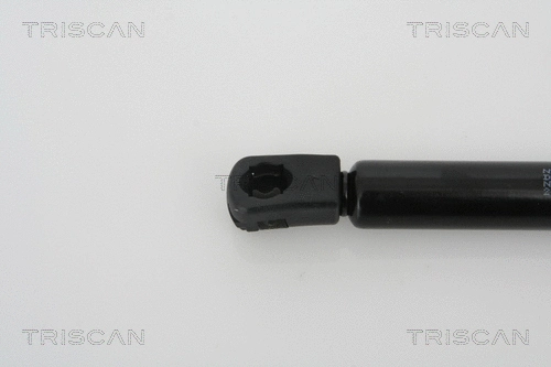 Gas Spring, boot/cargo area