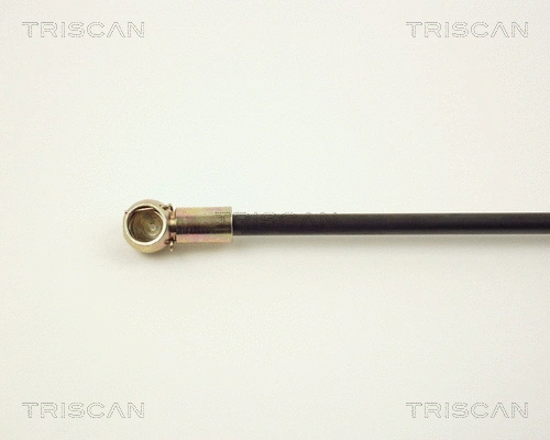Gas Spring, boot/cargo area