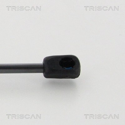Gas Spring, bonnet