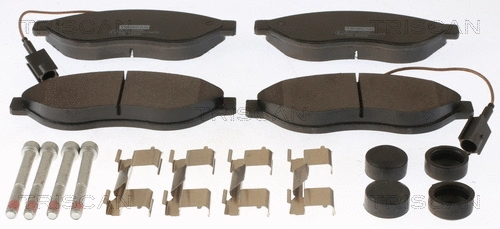 Brake Pad Set, disc brake (8110 10599)