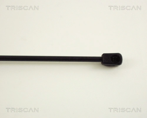 Gas Spring, boot/cargo area