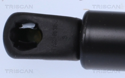 Gas Spring, boot/cargo area