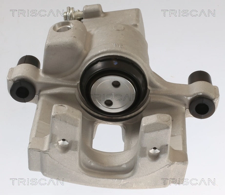 Brake Caliper (8175 25202)