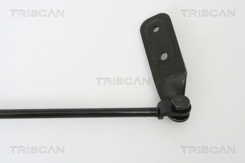 Gas Spring, boot/cargo area