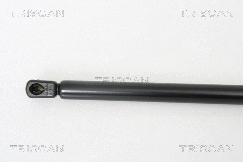 Gas Spring, boot/cargo area