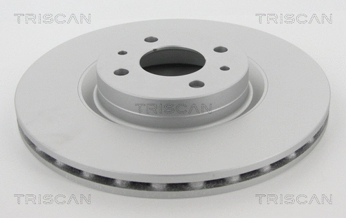 Brake Disc (8120 10131C)
