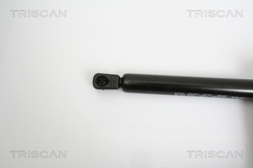 Gas Spring, boot/cargo area