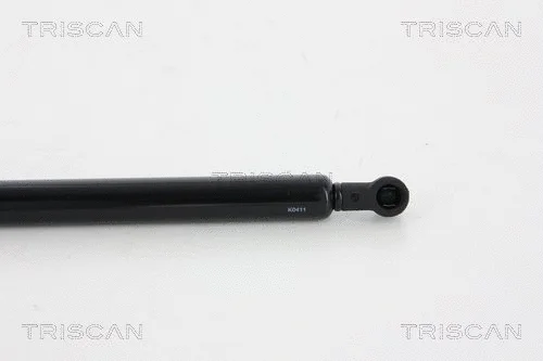 Gas Spring, boot/cargo area