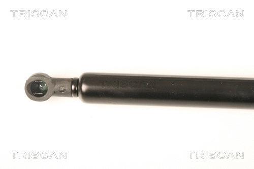 Gas Spring, boot/cargo area