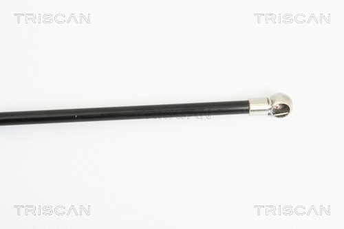 Gas Spring, boot/cargo area