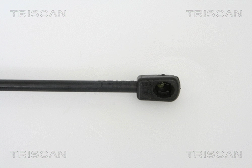 Gas Spring, boot/cargo area