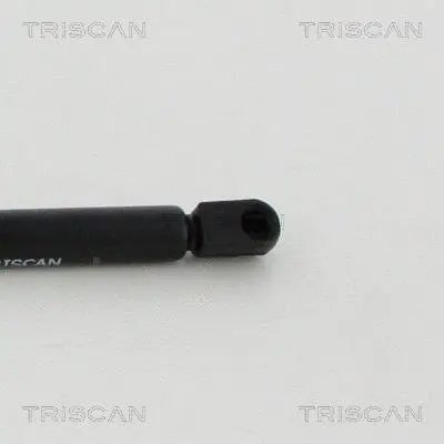 Gas Spring, boot/cargo area