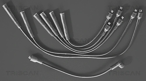 Ignition Cable Kit (8860 7131)