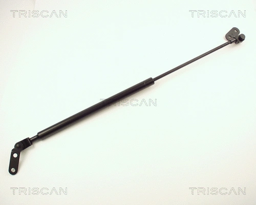 Gas Spring, boot/cargo area (8710 14203)