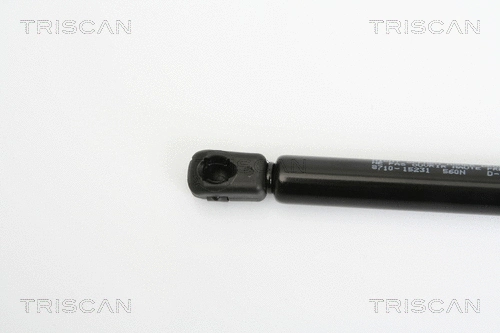 Gas Spring, boot/cargo area
