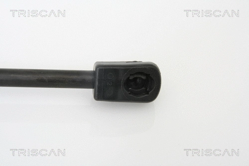 Gas Spring, boot/cargo area