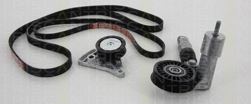 V-Ribbed Belt Set (8642 29008)