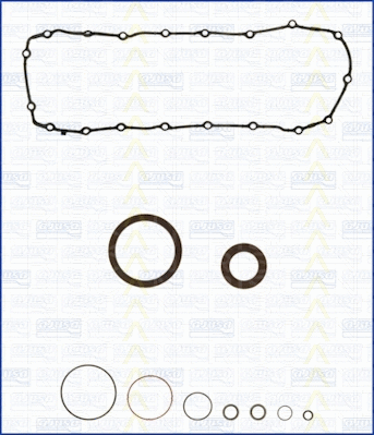 Gasket Kit, crankcase (595-5574)