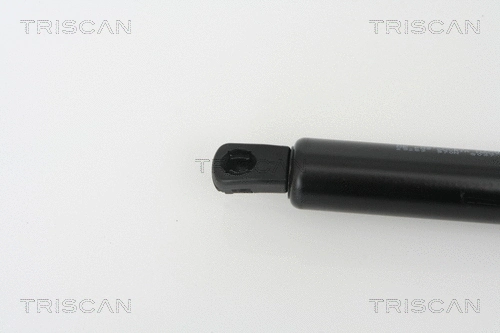Gas Spring, boot/cargo area