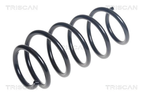 Suspension Spring (8750 16166)