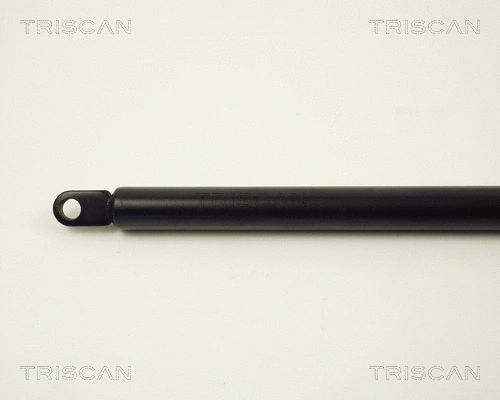 Gas Spring, boot/cargo area