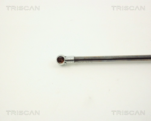 Gas Spring, boot/cargo area