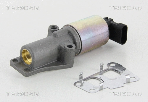 EGR Valve (8813 24010)